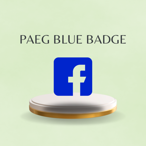 Facebook Business Manager & Page Blue Badge